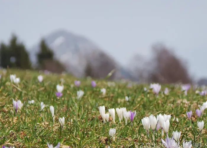Haus Wiesenruh - Amazing Views & Setting *
