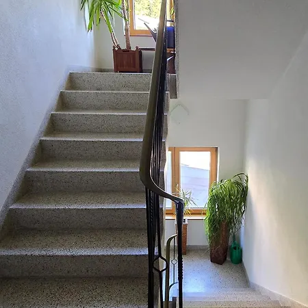 Haus Wiesenruh - Amazing Views & Setting Apartment
